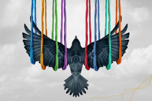 Risk and Uncertainty - bird held by color strings on wings